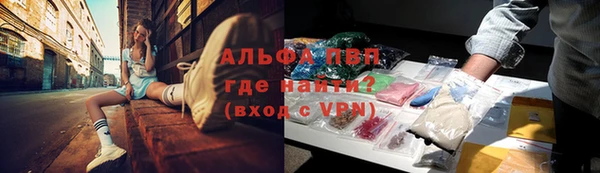 гашик Белокуриха
