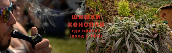 гашик Белокуриха